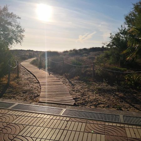 Sea View Apartment, First Line On The Beach, Remote Work Canet d'En Berenguer Dış mekan fotoğraf